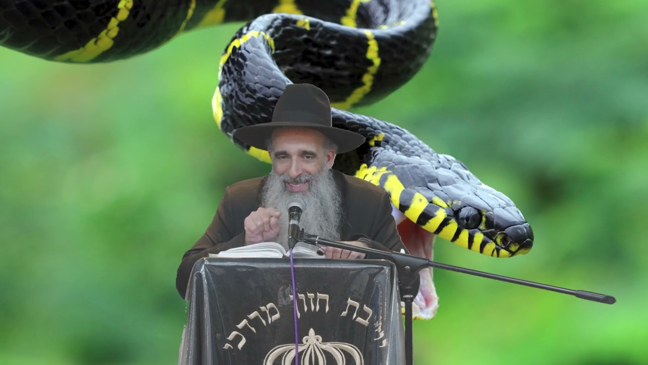 קצרים-הרב מאיר דוד שמואלי -גם הרעה היא לטובה