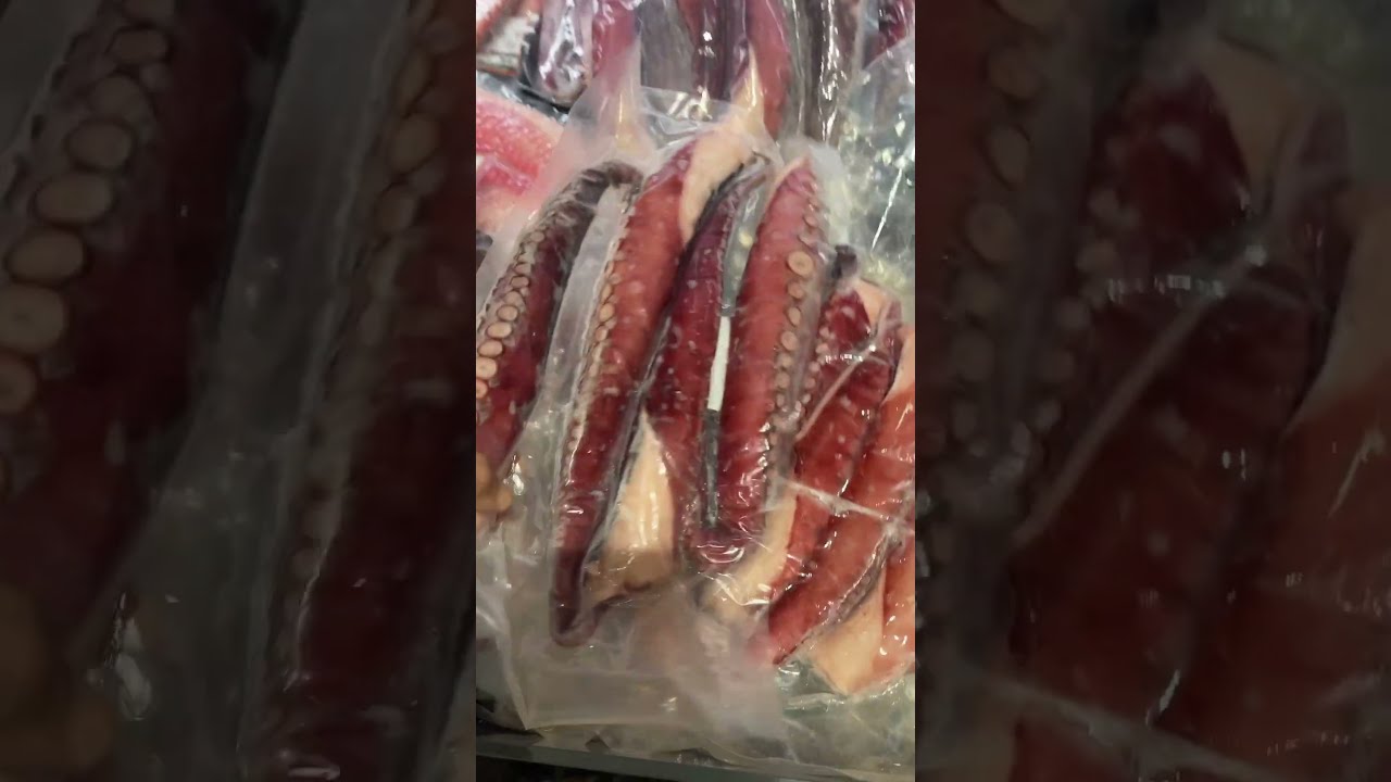 Octopus Tentacle One Bangkok Grocery Giantoctopus Shorts