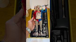 Rare Hot Toys Harley Quinn Suicide Squad