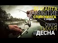 СПИННИНГ перед запретом. ТИХАЯ ДЕСНА. Like Fishing