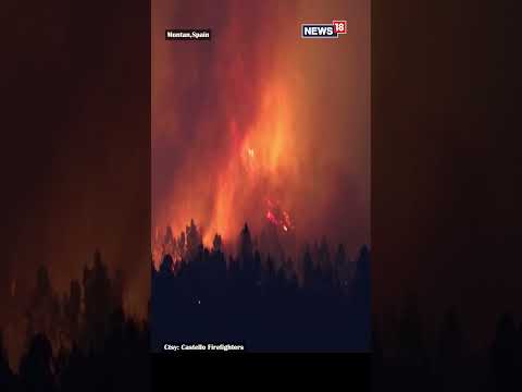 Spain News | Firefighters Fight Raging Wildfires Blazing Through Forests In Eastern Spain | #viral