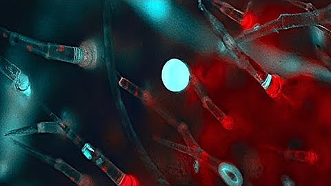 Fluorescence microscopy #macro_captures #macrozoom #micro #macros #macroworld