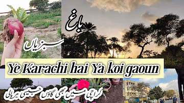 Ye karachi Ki Kon  C Jaga Hai🔥||Nani k Ghar Gae Kal 🌸Garden ||Sabzi Direct Bhag Se Lai🥦🥬||Village❤️