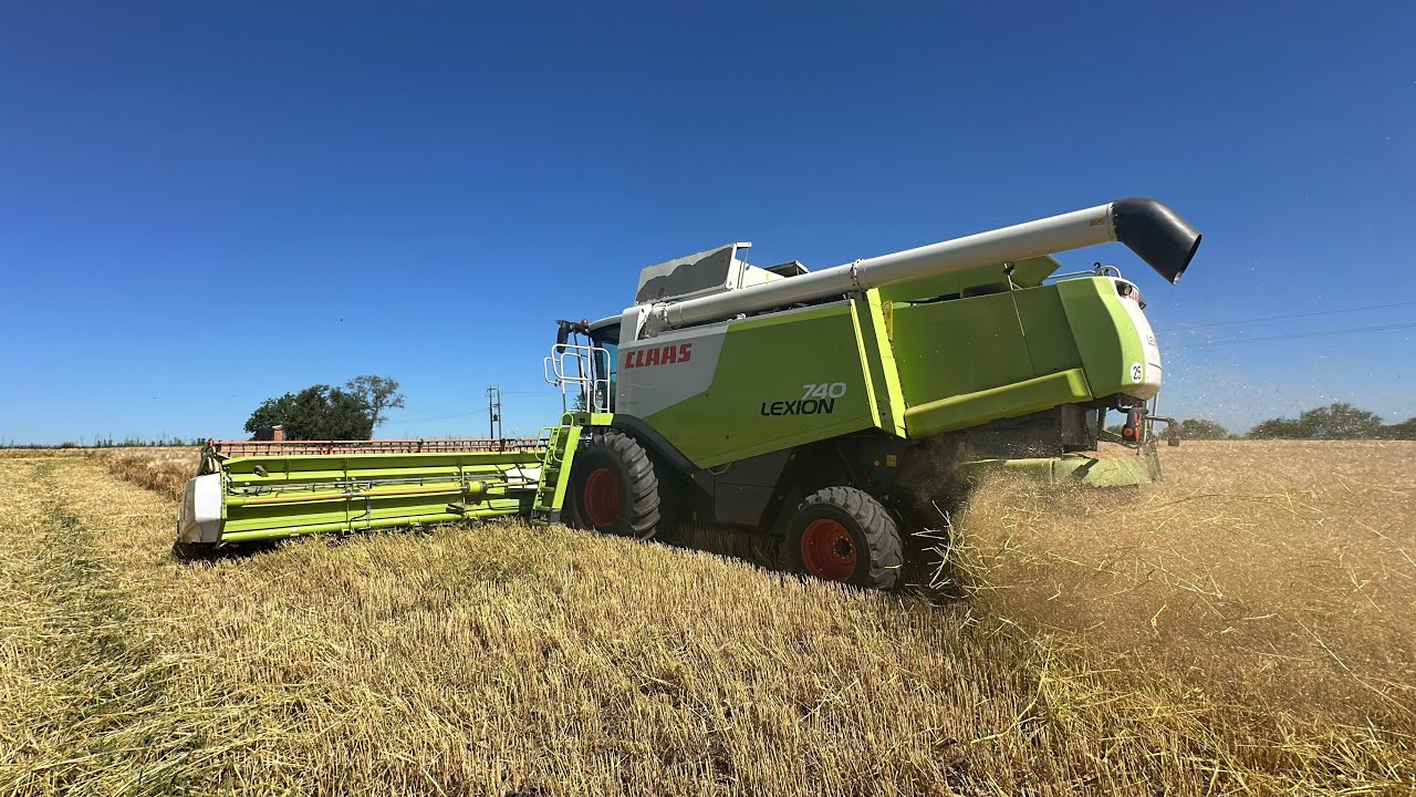 Primer día de cosecha! Bruta cebada!