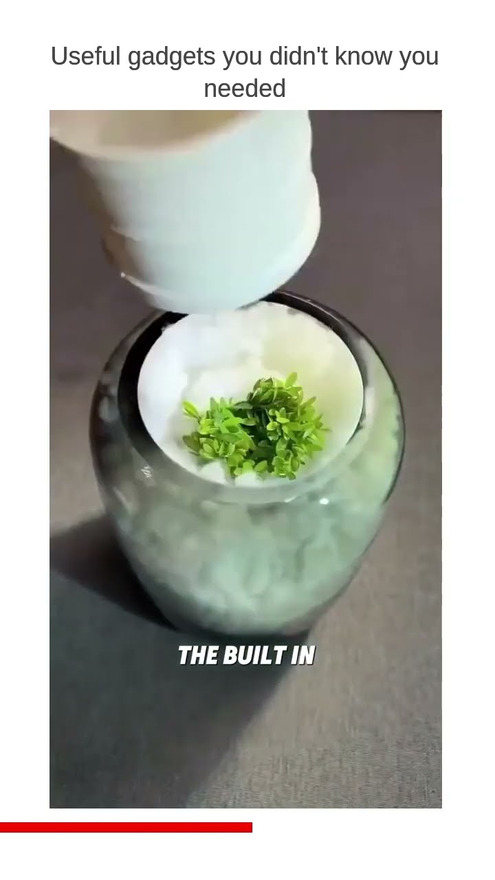 Product link in Bio This glass vase is a beautifully crafted piece that brings a touch of nature