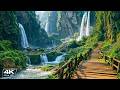 Calming piano music helps reduce stress 🌿Beautiful relaxing music for inner peace & deep sleep