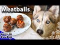 Homemade Meatballs for Dogs | DIY Dog Treats Recipe 92 | Homemade Dog Treats Homemade Meatballs for Dogs | DIY Dog Treats Recipe 92 | Homemade Dog Treats