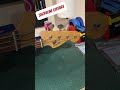 Fender Squire P Bass