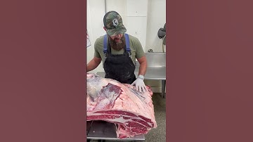 Breaking down the beef front 🔪🐂 #shorts #beef #thebeardedbutchers