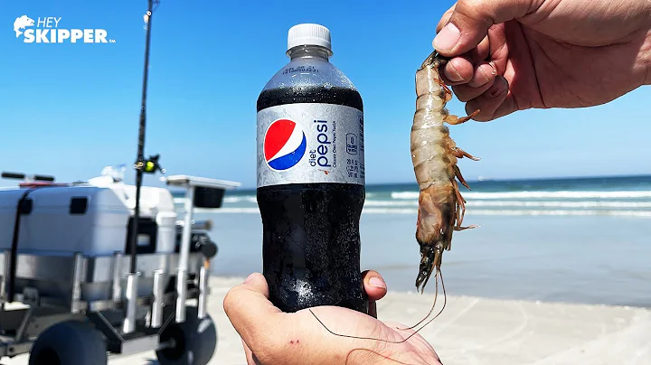 SECRET BAIT FOR SURF FISHING? Diet Pepsi Soaked Shrimp - DayDayNews