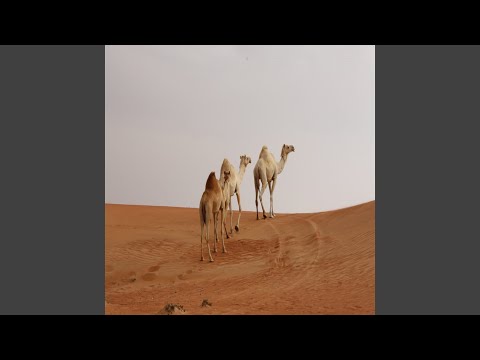 انا من ورا يبرين