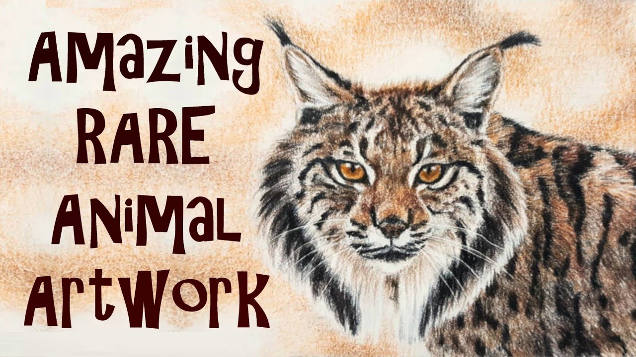 Amazing Rare Animal Artwork By Becky Kidus - YouTube