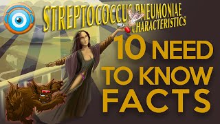 Streptococcus Pneumoniae: 10 need to know facts (Step 1, COMLEX, NCLEX®, PANCE, AANP)