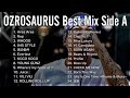 Dj mixbestmixozrosaurus best mix side a greatest hits 2023 ozrosaurus  djmix