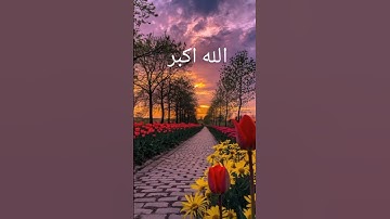 قرآن كريم #تيك_توك #اكسبلور #صباح_الخير #دويتو #الرحمن #المصحف