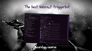 The best Valorant Color/Ai triggerbot (free keys in vid)