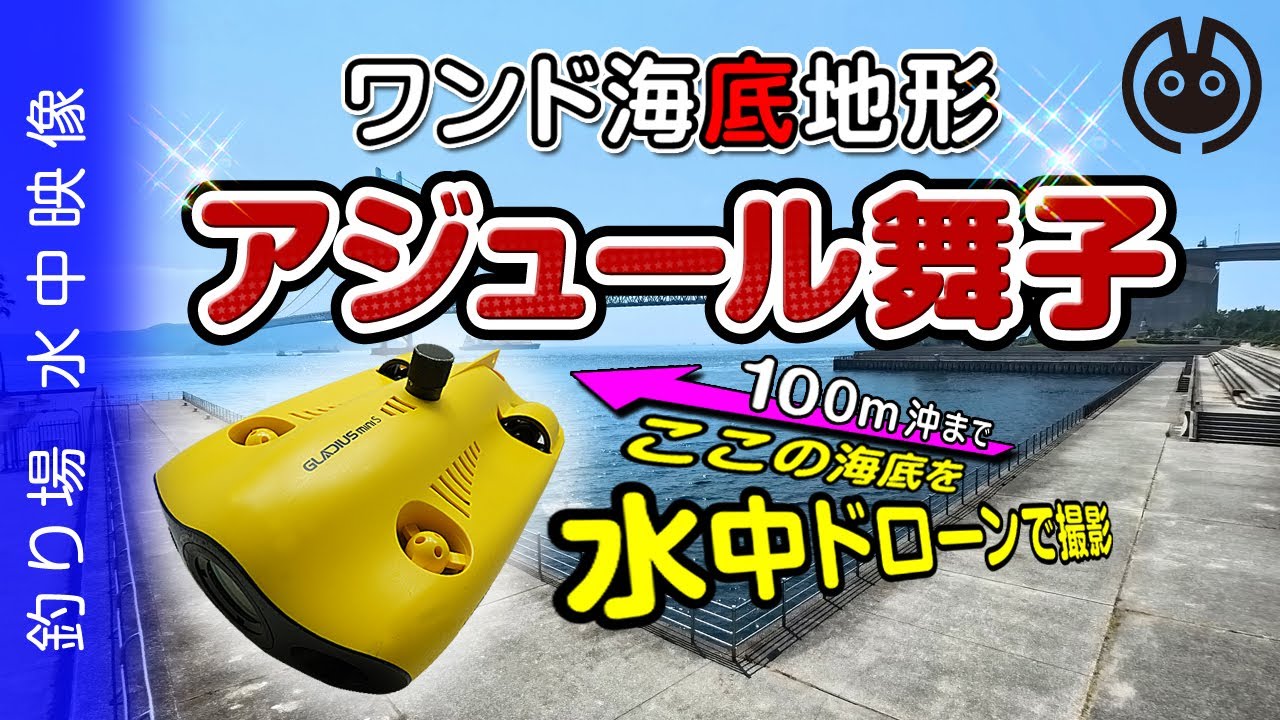 【釣り場・水中映像】アジの群れを追い回す青物/アジュール舞子/ワンドど真ん中100ｍ/水中ドローン+insta360x4 Underwater
