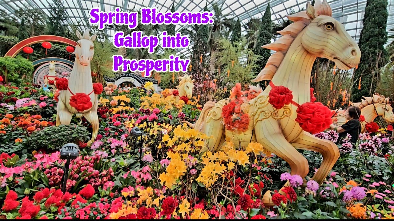 ВЕСЕННЕЕ ЦВЕТЕНИЕ: ВПЕРЕД К ПРОЦВЕТАНИЮ В САДАХ «ЦВЕТОЧНЫЙ КУПОЛ» НА БЕРЕГУ ЗАЛИВА