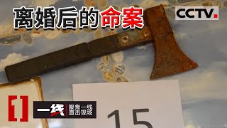 《一线》离婚不离家 男子接受不了前妻另觅新欢 在家将两人砍杀...... 20220819 | CCTV社会与法