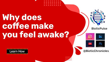 Wake Up Call: The Eye-Opening Science Behind Coffee
