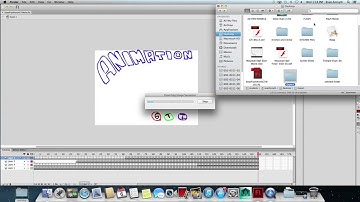 Export Flash