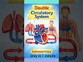 😱Double Circulatory system class10 #education #most #boardexam #exam #circulatory_system