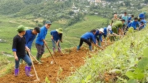 Mù Cang Chải khai hoang 15ha ruộng bậc thang tại xã Cao Phạ.