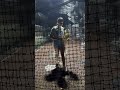 Working on throwing mechanics