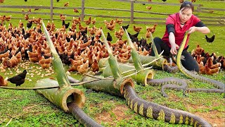 Download Lagu How We Giant King Cobra Captured with Handmade Bamboo Trap! Making Traditional Banana Cakes for Sale MP3 Download Lagu How We Giant King Cobra Captured with Handmade Bamboo Trap! Making Traditional Banana Cakes for Sale MP3