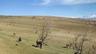 пака мата скилл дар сари чар