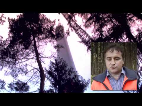 Windkraft: Windenergieanlage im Wald bei Hof: Fasanerie