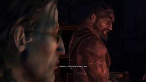 The Witcher Part 2 (Neutral path, Triss)