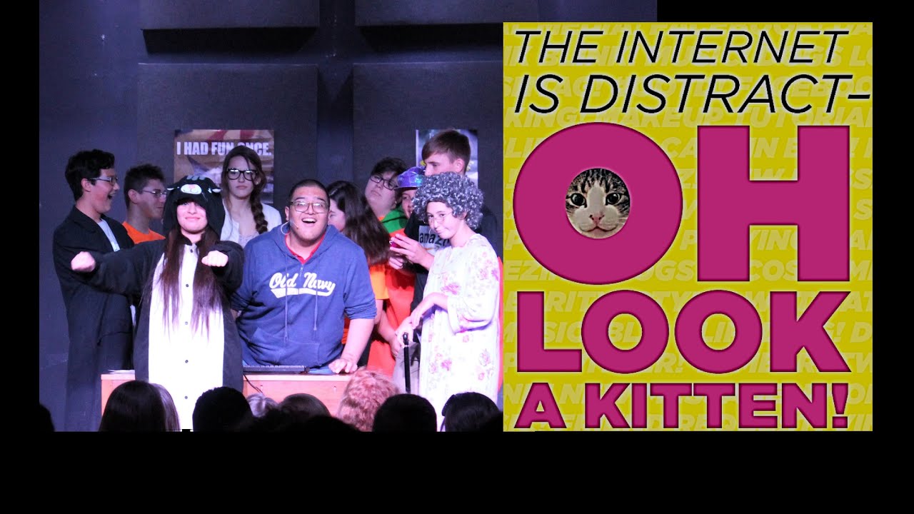 The is Distract Oh Look A Kitten! YouTube