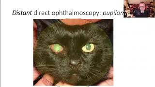 smartphone as a clinical tool in ophthalmology screenshot 3