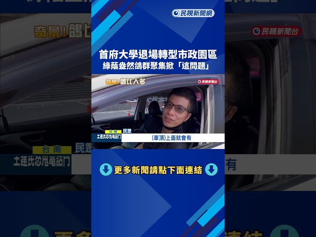 退場校園轉型園區 綠蔭盎然鴿群聚集「引發衛生疑慮」－民視新聞