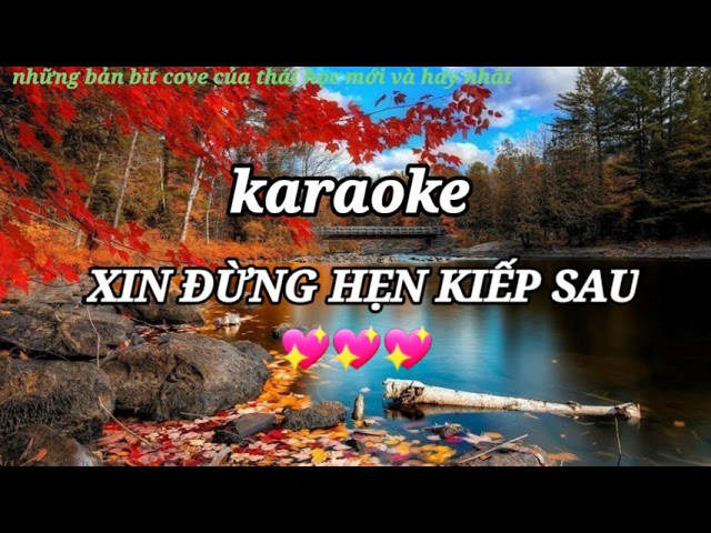 karaoke | XIN ĐỪNG HẸN KIẾP SAU | tone Nam | bit thái học cover class=