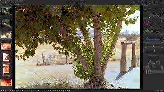 C1 Convert Negative - Color Example 2