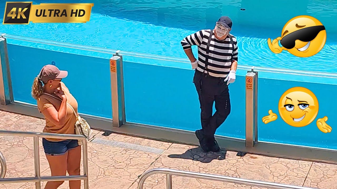 Том, самый вирусный мим в социальных сетях 👏😂🤣 #tomthemime #seaworldmime #seaworldorlando