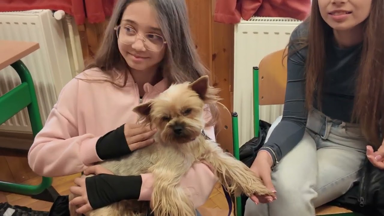 2025.10.18 Pályaorientációs nap (5-6.osztályok)