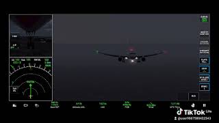 TikTok version of my IFR landing