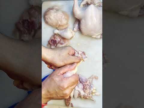 طريقة عمل الحمام الكداب للمبتدئين 