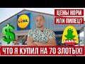 в ШОКЕ от цен в Польше! Что можно купить в Польше на 70 злотых в Lidl в сентябре 2023