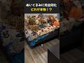 ぬいぐるみの中に本物が!?皆さん分かりますか?