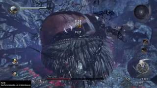 Nioh Onryoki Kill