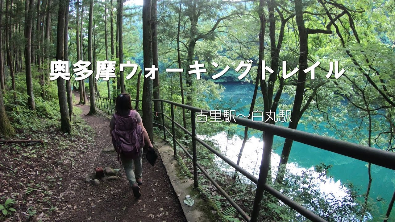 奥多摩ウォーキングトレイルを歩きました