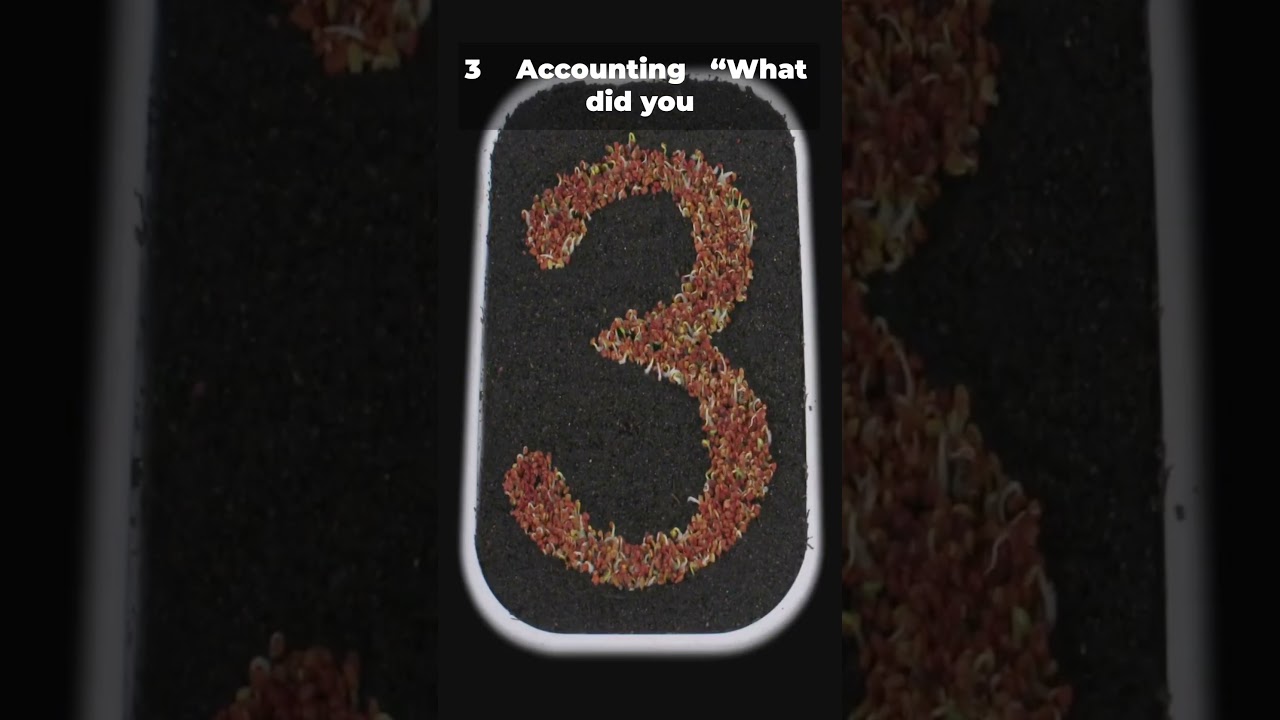 Как серверы AAA контролируют вашу сеть, словно сторожа безопасности! 🚀