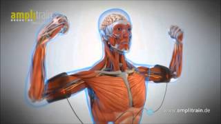 ЭМС тренинг Amplitrain(Что такое ЭМС тренинг, и как это работает? Узнайте подробнее о методе электромиостимуляции! Испытайте на..., 2016-01-26T18:25:12.000Z)