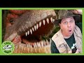 T-Rex Dinosaur & Floor Is Lava! T-Rex Ranch Dinosaur Adventures