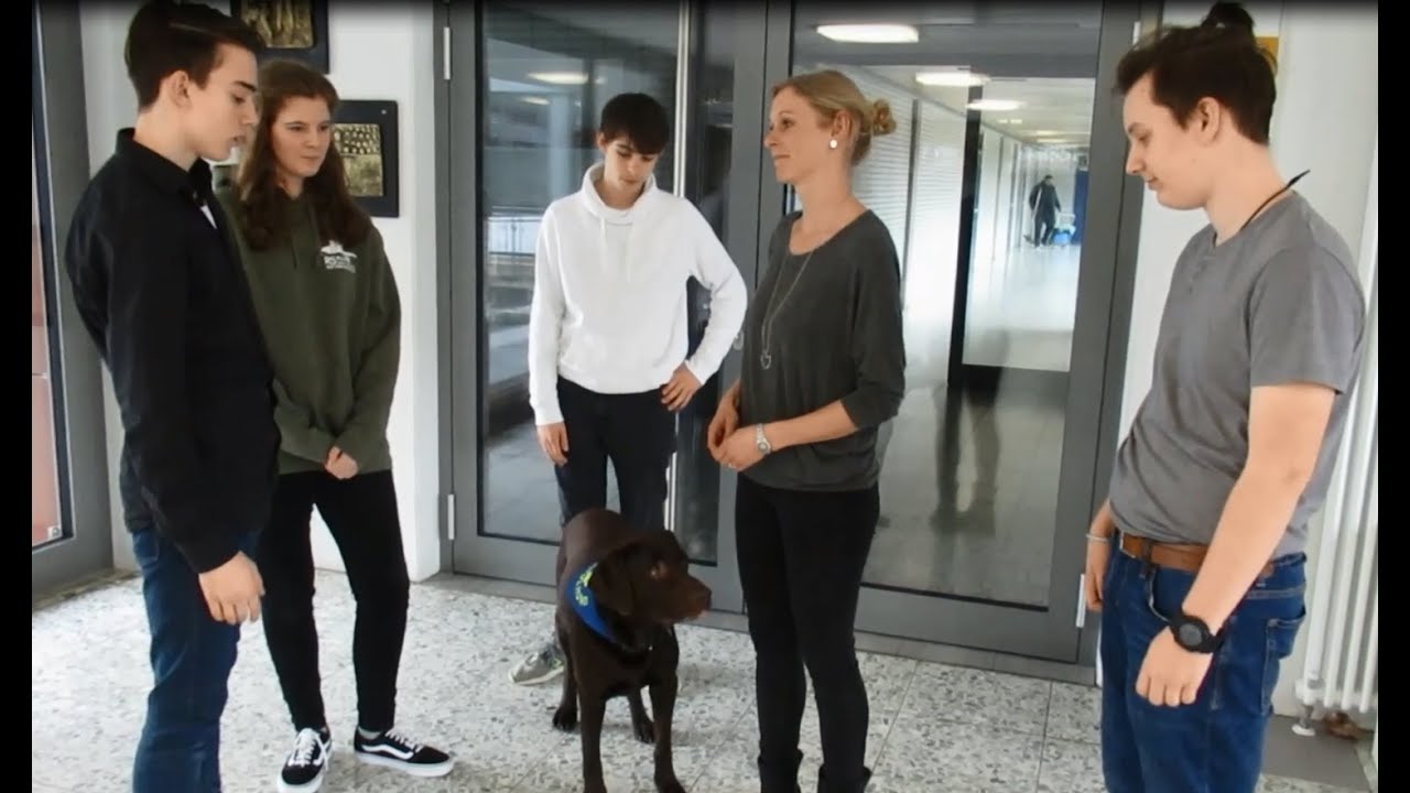 Ein kleines Vorstellungsvideo der Realschule plus auf der Karthause - gestaltet von der Homepage AG