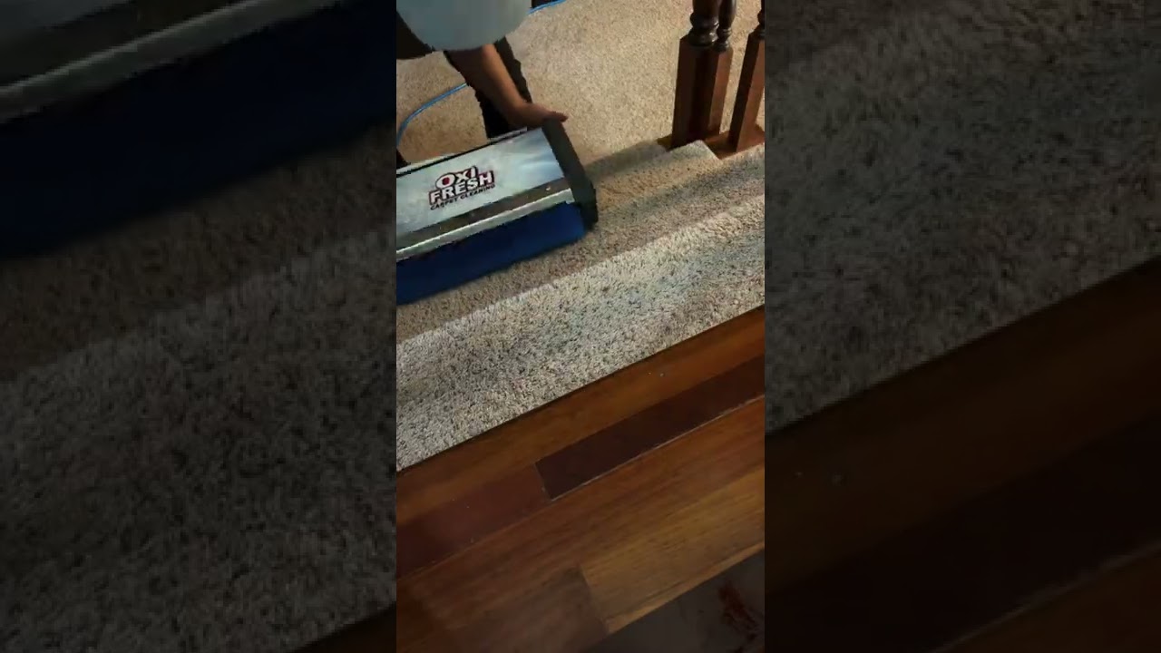 How Oxi Fresh cleans carpet on stairs using a VLM Encapsulation process and Grandi Groomer.